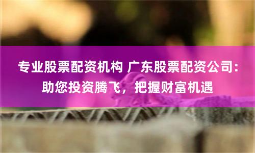 专业股票配资机构 广东股票配资公司:助您投资腾飞,把握财富机遇