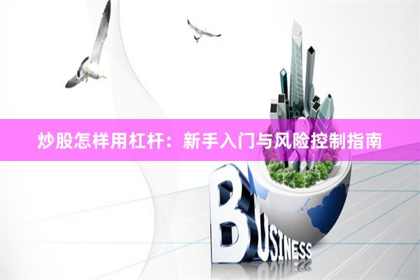 炒股怎样用杠杆：新手入门与风险控制指南