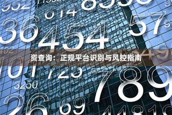 资查询：正规平台识别与风控指南